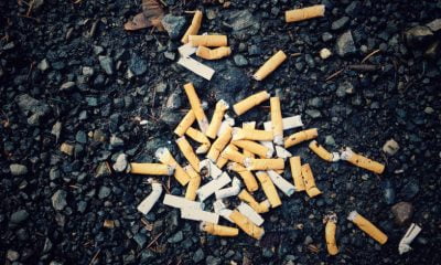 papierosy DomPolski.uk - Polacy w Wielkiej Brytanii UK